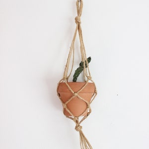 May include: A small terracotta pot with a green cactus plant is hanging from a macrame plant hanger made of natural twine.