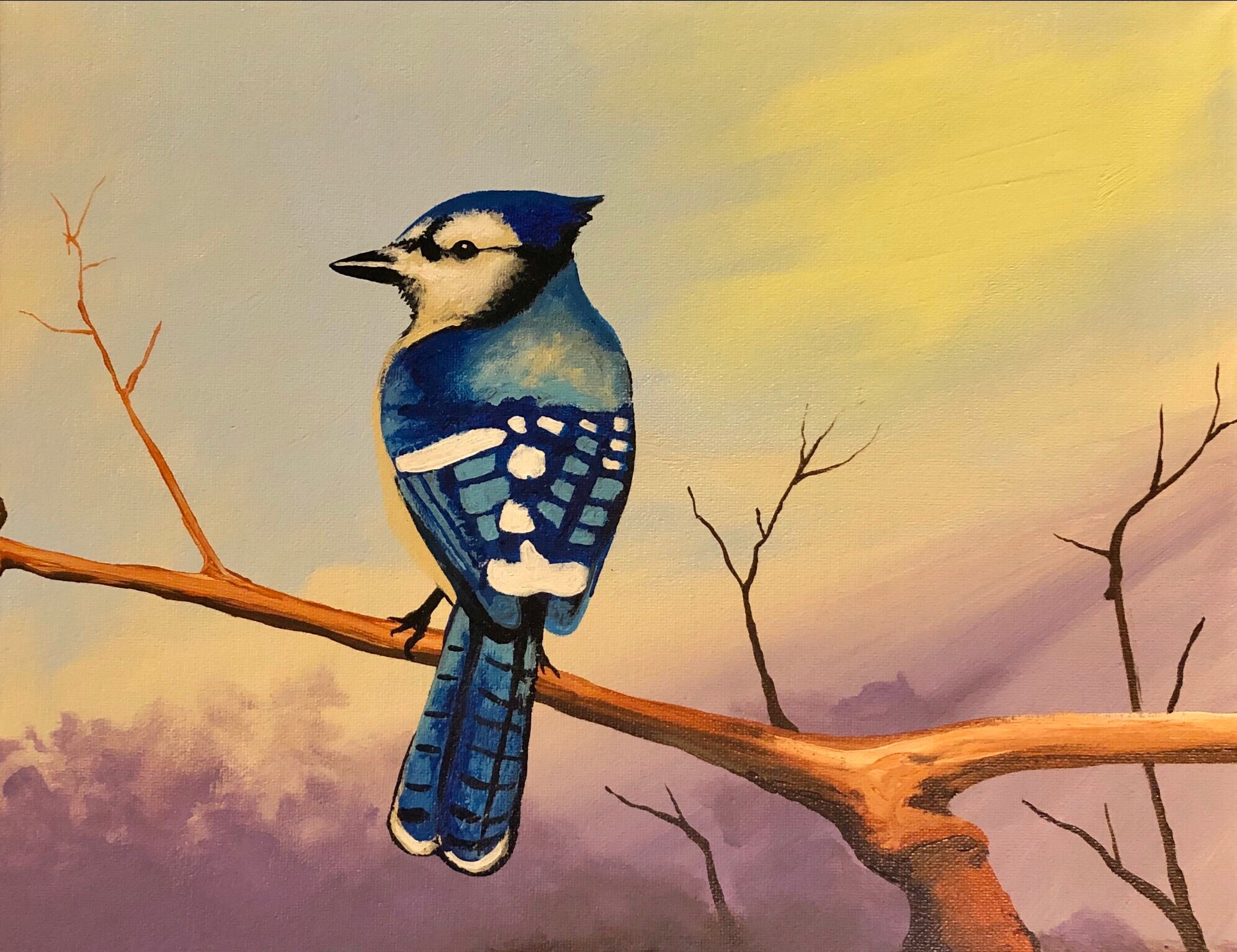 Blue jay painting acrylic painting wildlife painting home Etsy