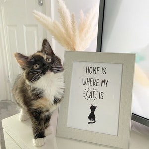 Home Is Where My Cat Is Animal Wall Decor Simple Print