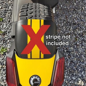 Rear Tail Decal Fits Can-am Ryker Rear Fender (Stripe NOT included)