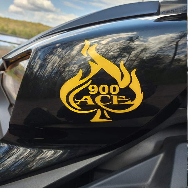 Fiery 900 ACE decals fits Can-am Ryker Panels (2 decal set)