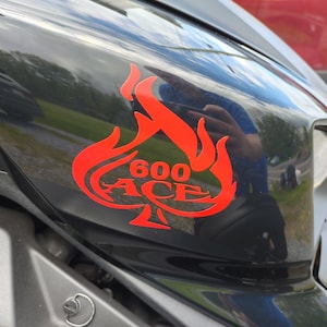 Fiery 600 ACE decals fits Can-am Ryker Panels (2 decal set)
