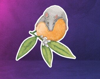 Rat Sticker (Waterproof)