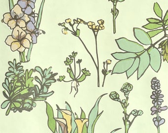 Queer Flower Language Screen Print Queer History