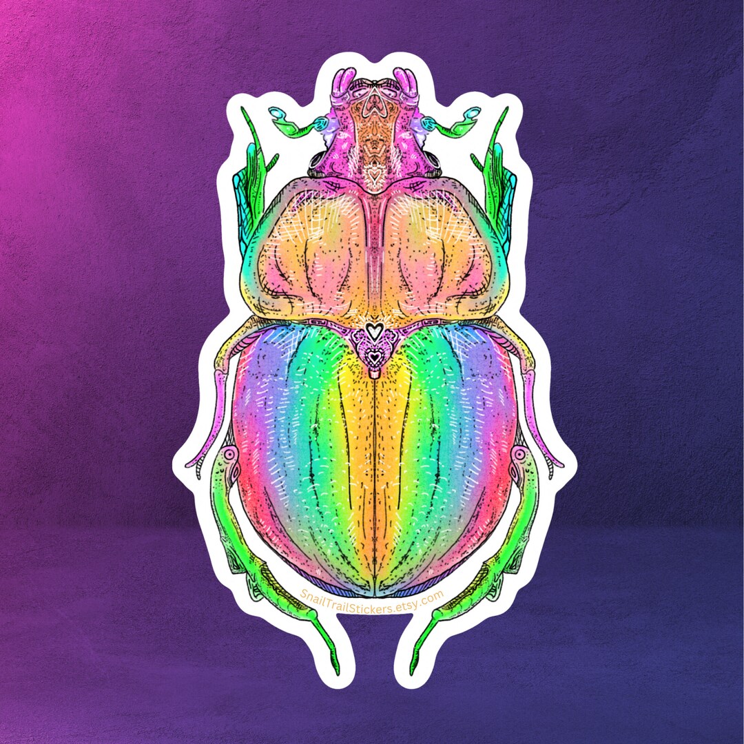 Insect Rainbow Sticker Rainbow Beetle Illustration Sticker (waterproof) - Etsy