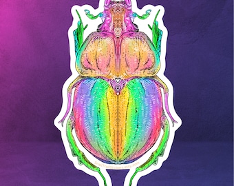 Rainbow Beetle Illustration Sticker (Waterproof)