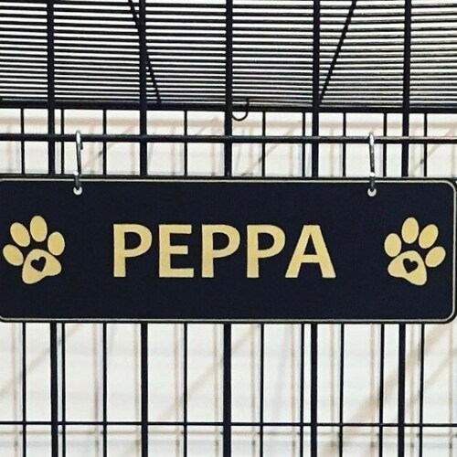 Dog Bone Name Plate Kennel Crate Pet Tag Etsy