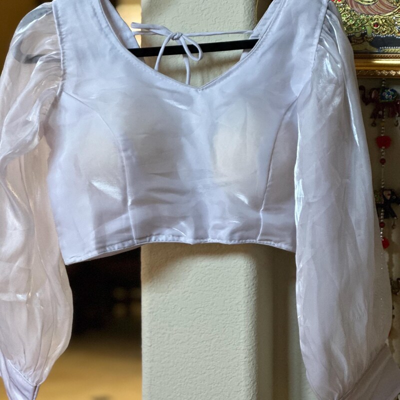 Silk organza transparent embroidered blouse