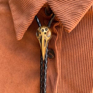 May include: A brass-colored bolo tie featuring a bird skull pendant with multiple circular cutouts. The pendant hangs from a black braided cord, set against a rust-colored collared shirt.