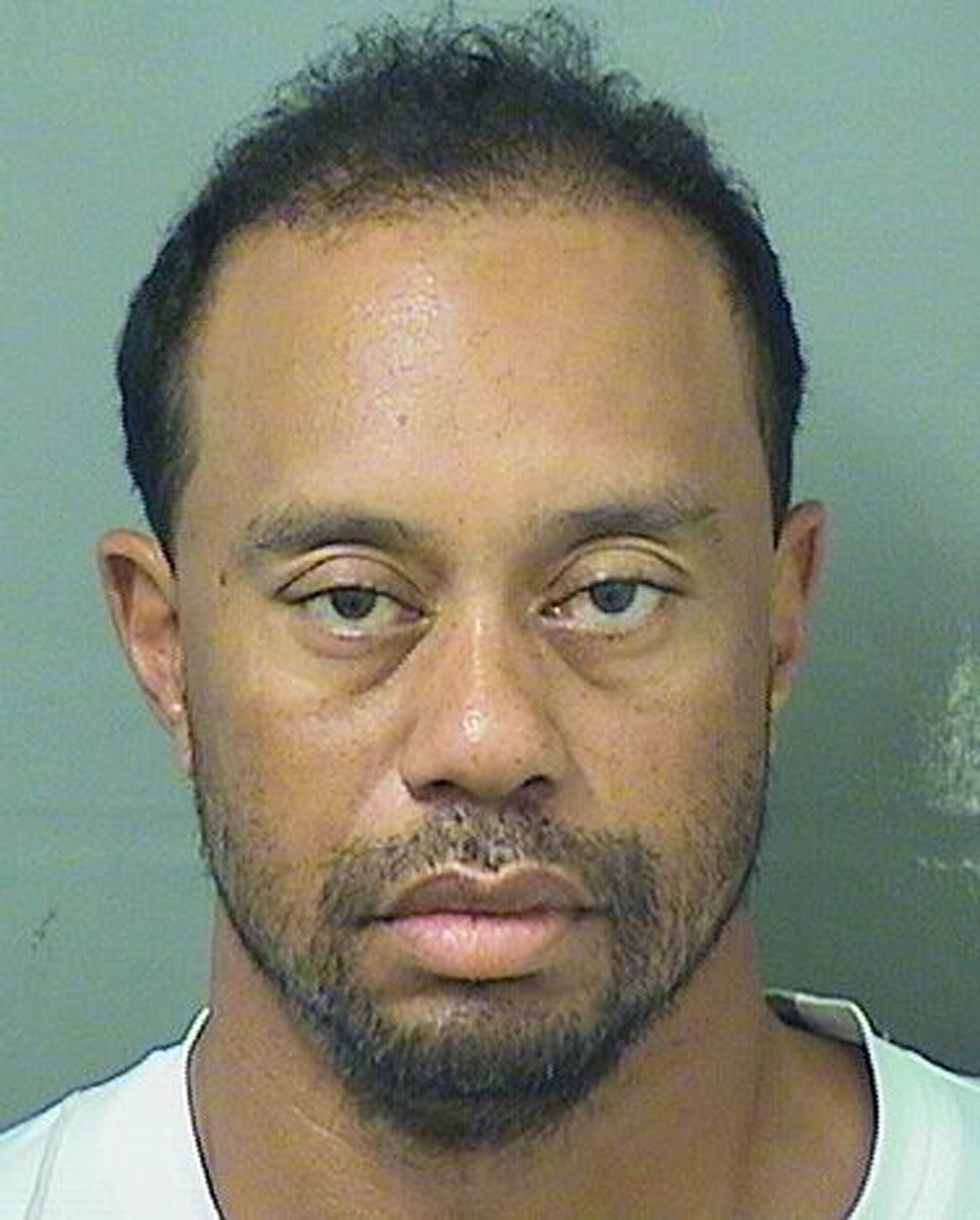 Tiger Woods Mugshot Glossy Poster 