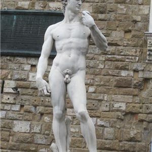 Statua di David Poster Lucido Immagine Foto Scultura Monumento Decorazione da Parete Conversationprints