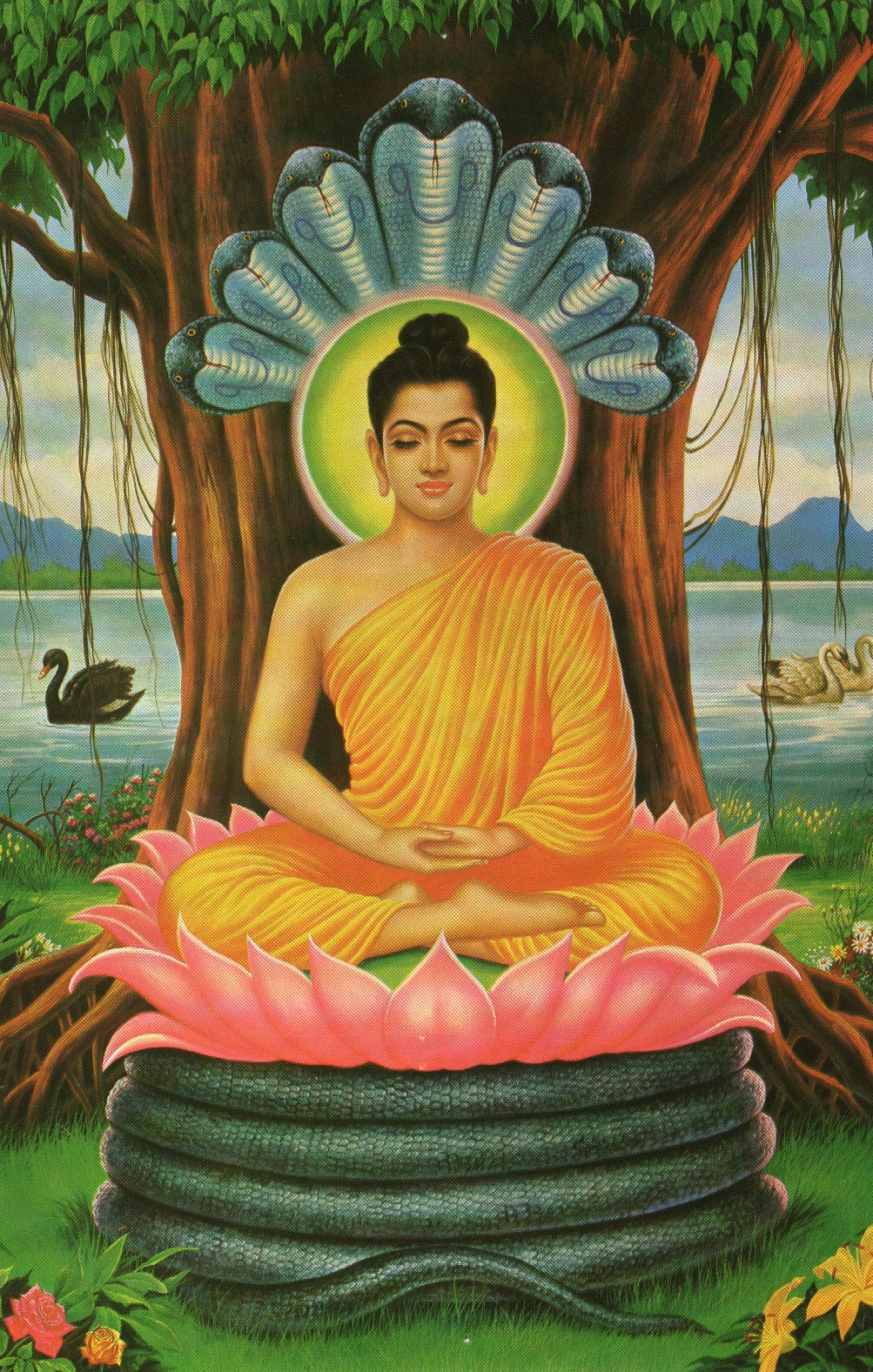 GAUTAMA BUDDHA Glossy Poster Picture Photo buddhism india Etsy