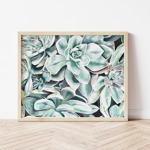 Botanical Art Print, Watercolor House Plant, Succulents, Gifts for Plant Parents, Boho Decor, Dorm Room Art, Plant Painting