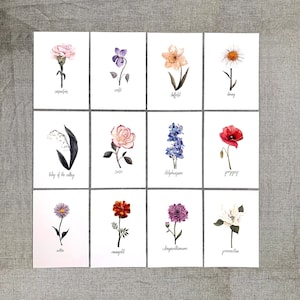 Stampa acquerello fiore nascita, Pittura mese nascita, Arte mese nascita, regalo festa madre, decorazione, illustrazione floreale botanica, regali per mamma