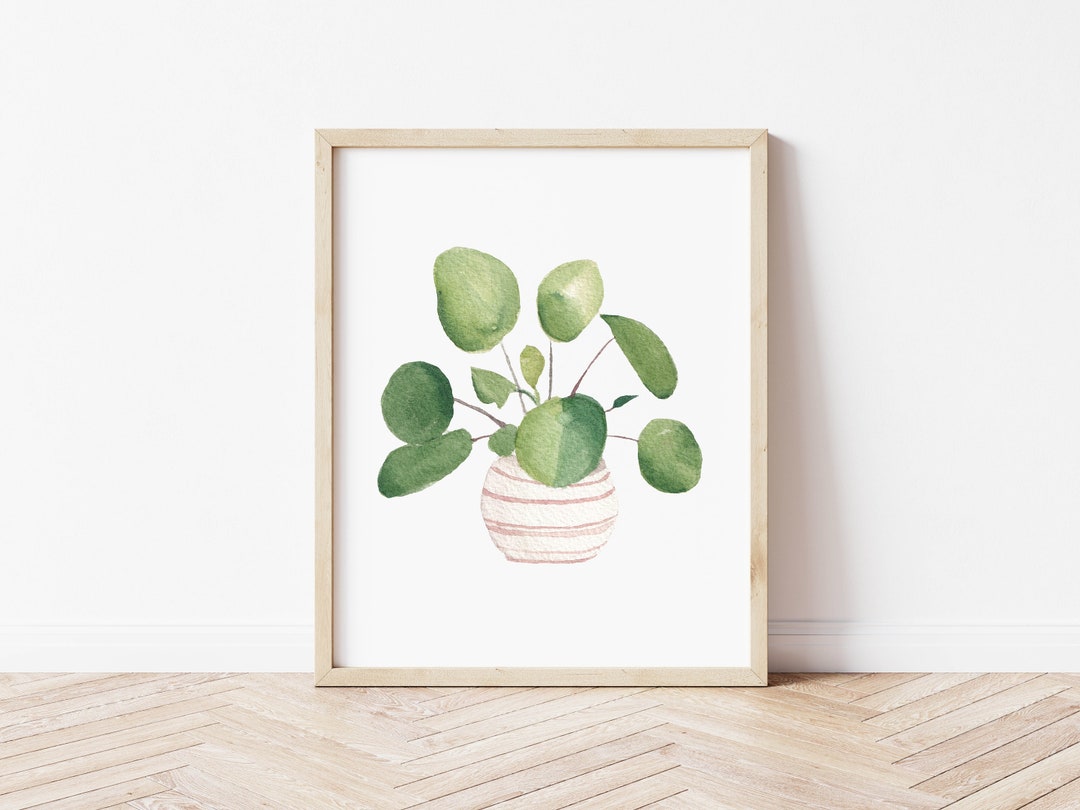 Pilea Peperomia Botanical Art Print, Chinese Money Plant Watercolor ...