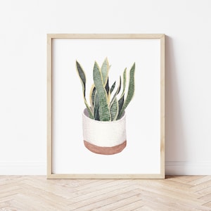 Snake Plant Botanical Art Print, Watercolor House Plant Wall Art, Plant Parent Gifts, Boho Decor, Mother in Law&#39;s Tongue,  Plant Painting