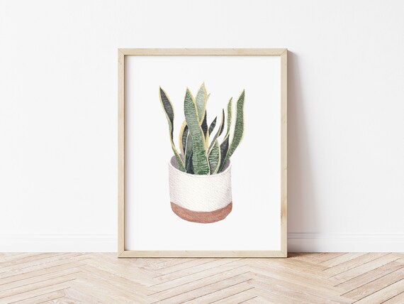Snake Plant Botanical Art Print, Watercolor House Plant Wall Art, Plant  Parent Gifts, Boho Decor, Mother in Law's Tongue, Plant Painting - Etsy