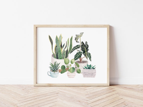 House Plants Botanical Art Print, Watercolor House Plant, Succulent Wall  Art, Gifts for Plant Parents, Boho Decor, Plant Painting