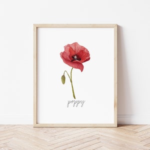 August Birth Flower Poppy | Birth Flower Watercolor Print | Botanical Floral Illustration | Birth Month Art | Wall Decor | Gifts for Her