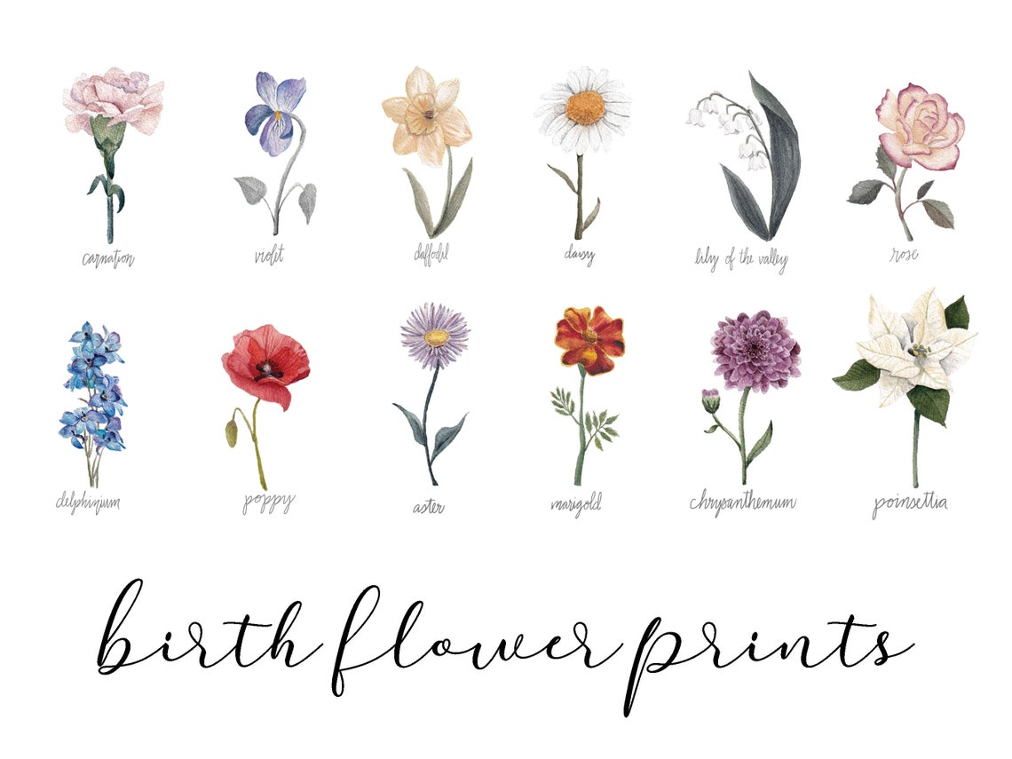 Birth Flower Watercolor Print Birth Month Painting Birth Etsy UK