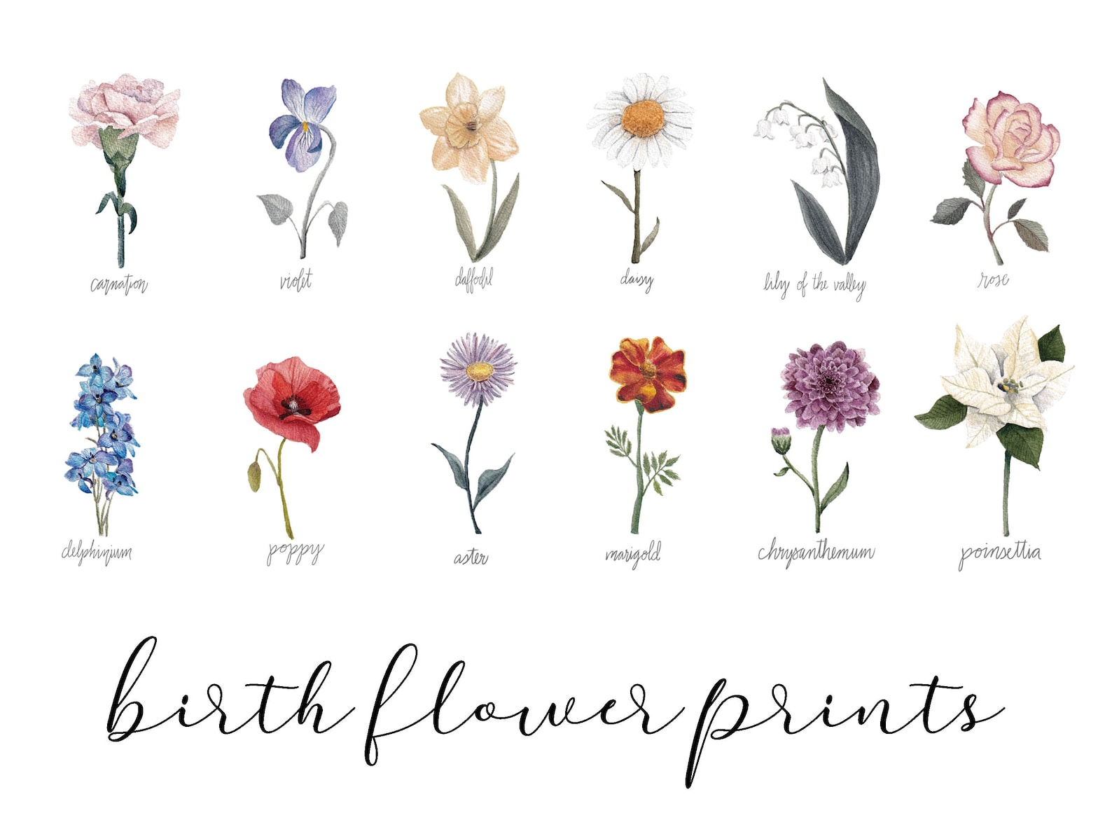 Birth Flower Watercolor Print Birth Month Painting Birth Etsy