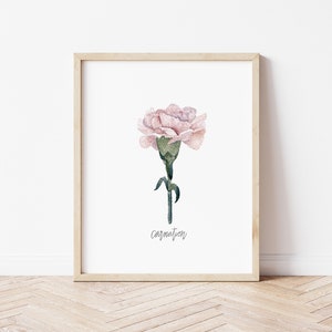 January Birth Flower Carnation | Birth Flower Watercolor Print | Botanical Floral Illustration | Birth Month | Wall Decor | Gifts for Her