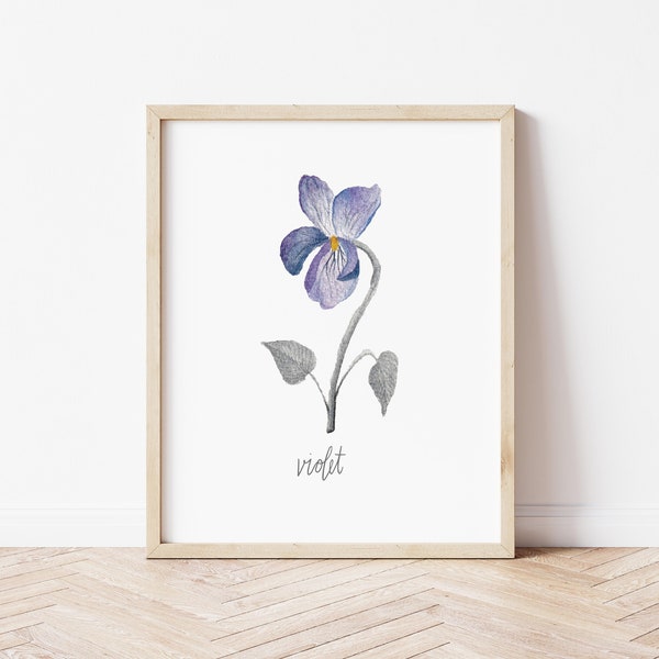 February Birth Flower Violet | Birth Flower Watercolor Print | Botanical Floral Illustration | Birth Month Art | Wall Decor | Gifts for Her