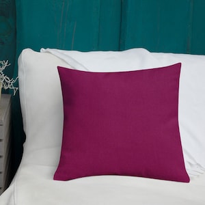 Premium Double Sided Raspberry Pillow and Cover. Modern Décor. Home Décor