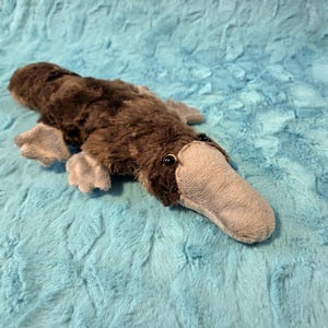 Mini Weighted Minky Platypus Stuffed Toy: Anxiety Relief