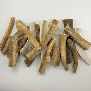 100% Natural Dog Treats Australian Deer Antlers Horn Dog Chew Bone Marrow Organic Healthy Pet Food Hard Chew SUSTAINABLY Sourced