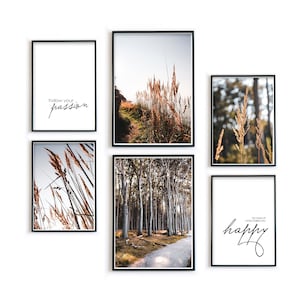 Poster Set Wohnzimmer | Natur Bilder Set - Natur Fotografien - Motivation Spruch Wandbilder - Gräser - Wald - Bäume - Landschaft Bild