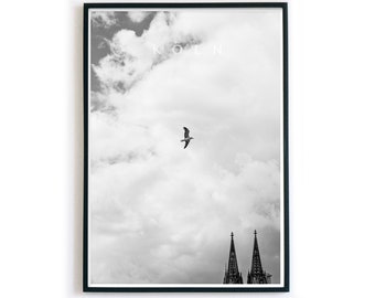 Köln Poster - Kölner Dom Schwarz Weiß Bild - Möwe - I love cologne - Stadt Poster für dein Wohnzimmer - ohne Rahmen