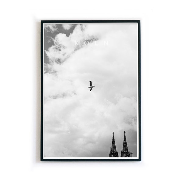 Köln Poster - Kölner Dom Schwarz Weiß Bild - Möwe - I love cologne - Stadt Poster für dein Wohnzimmer - ohne Rahmen