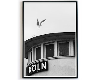 Köln Poster - Kölner Dom Schwarz Weiß Bild  - Möwe - Stadt Poster für dein Wohnzimmer - ohne Rahmen