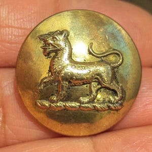 Op de afbeelding: Een gouden metalen knoop met een reliëf van een leeuw of een panter. De knoop heeft een touwachtige rand.