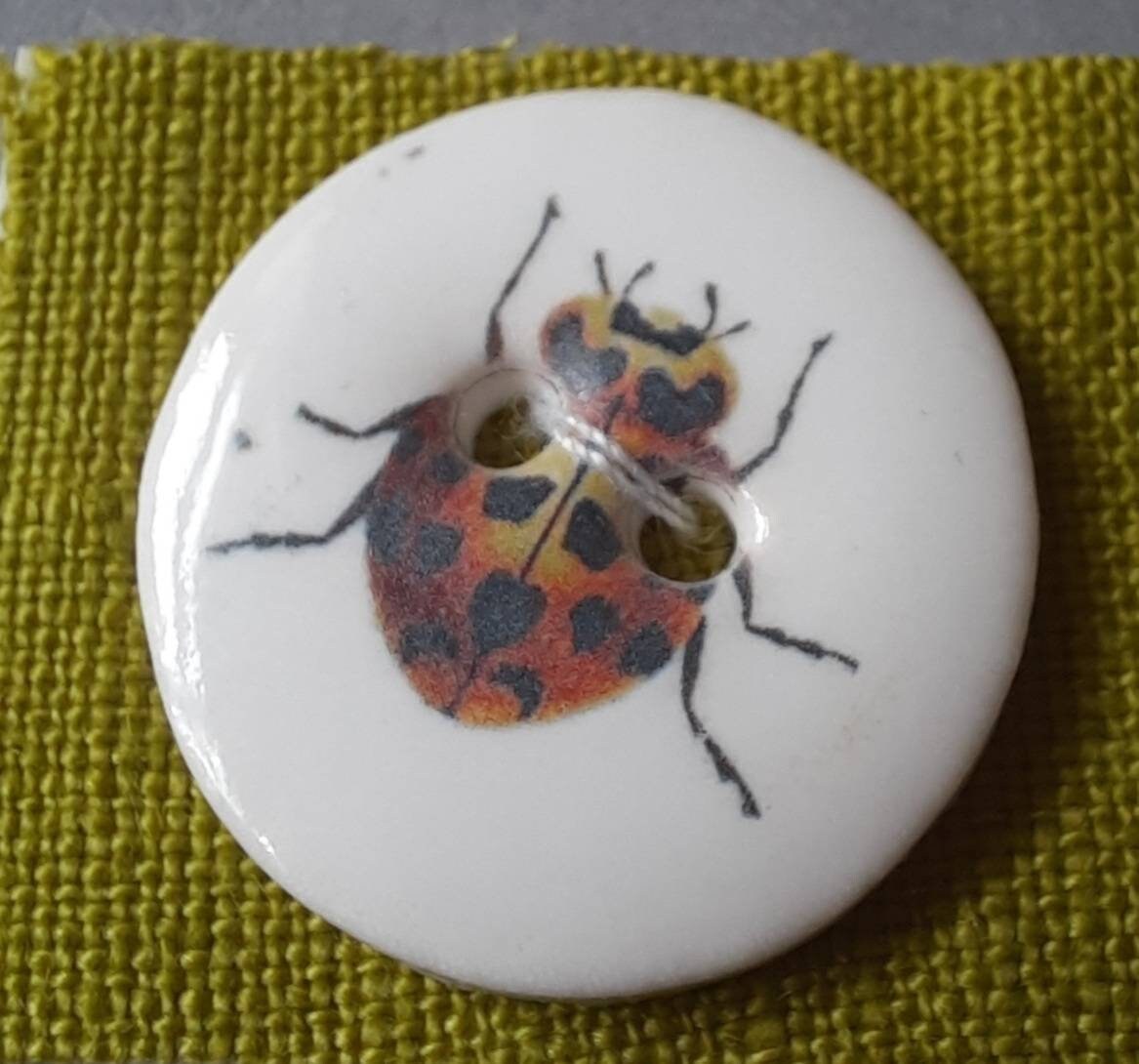 1 insect porcelain button. 24mm diameter or 2.4cm.