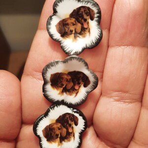 May include: Three flower-shaped buttons with a dachshund design. Each button has a white background with a black and white scalloped edge. The dachshunds are shown in brown and tan colours.