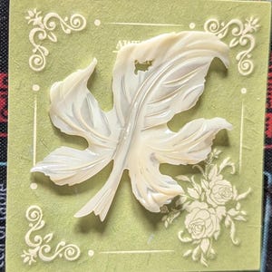 May include: A cream-coloured, iridescent mother-of-pearl leaf-shaped button or pendant featuring a central vein and a small hole near the top edge. The object is mounted on a light green square card with decorative white floral border patterns.