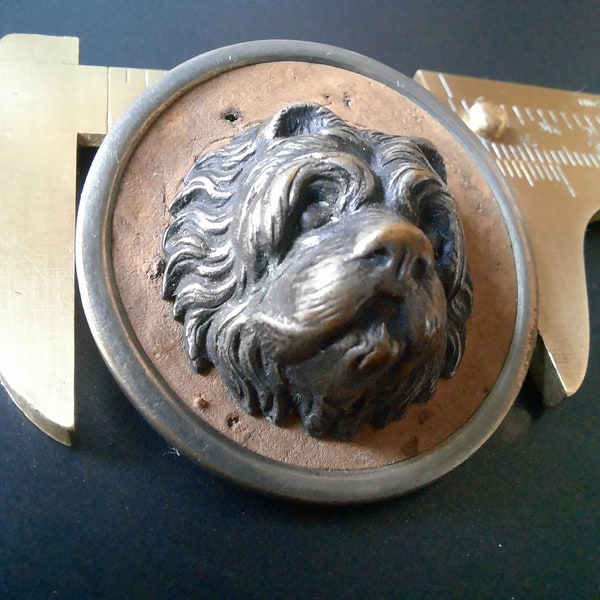 c1800s Button in High Relief of Dog. Cork backed. Large 3.3cm diameter.