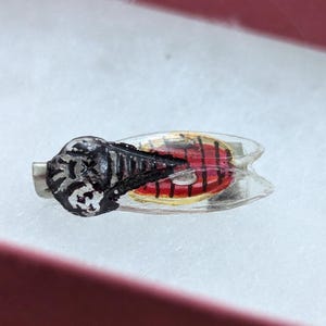 Broche vintage de insecto cigarra, década de 1920. Pequeño, 2 cm de largo por 8 mm de ancho.