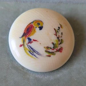 Op de afbeelding: Een ronde, crèmekleurige decoratieve knoop met een geschilderd papegaai-ontwerp. De papegaai is afgebeeld in geel, rood en blauw. Hij zit op een tak met groene en rode bladeren. De knoop is geplaatst tegen een lichtblauwe achtergrond.