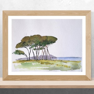 Pino marittimo ORIGINALE acquerello 11 x 15, Baratti Toscana, dipinto murale, paesaggio toscano, albero di pino.