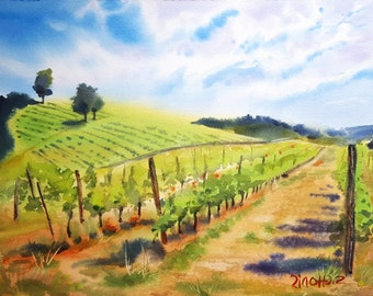 Vineyard Italy ORIGINAL watercolor 11'' x 15'' Summer italian landscape, vinemaker gift, vinery art