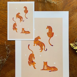 Tigers
