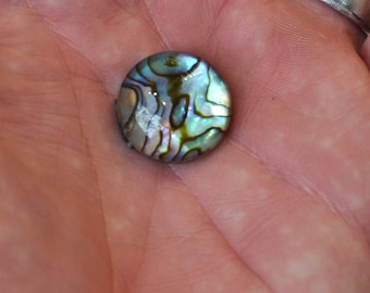Concha de abalone natural Paua com revestimento de cristal, cabochão de concha, cabochão redondo, pedra de abalone, pedra solta para anel