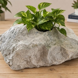 Limestone Sculpture Planter, Air Plants, Succulents