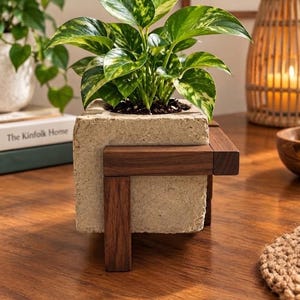 May include: A square, textured, light-colored stone planter held by a dark brown wooden frame. A vibrant green and yellow variegated pothos plant grows from the center of the planter, with its leaves spreading outward over the stone edges.