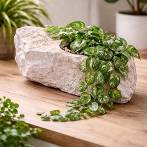 Customized Limestone Planters