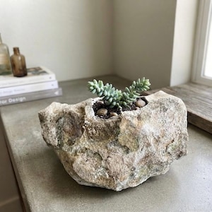 May include: A natural, rough-textured stone planter with an irregular, jagged shape and a hollowed-out center. The rock features earthy beige, tan, and grey tones. A small, light green succulent plant with thick, fleshy leaves grows inside the cavity.