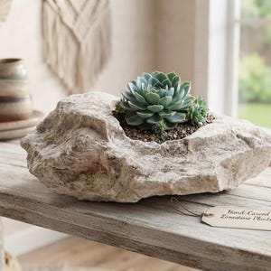 May include: A light beige, hand-carved limestone planter with a rough, natural rock exterior and a hollowed-out center containing a green succulent plant. A small, rectangular paper tag attached by a string reads Hand-Carved Limestone Planter.